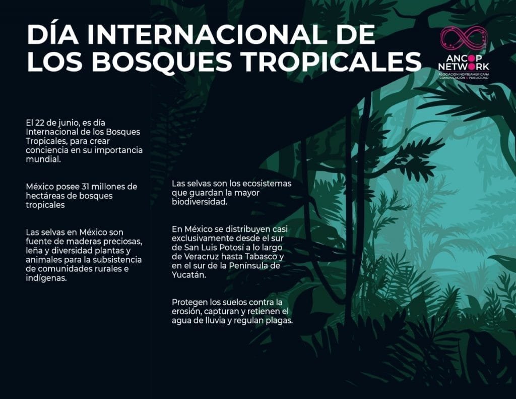 DIA INTERNACIONAL DE LOS BOSQUES TROPICALES