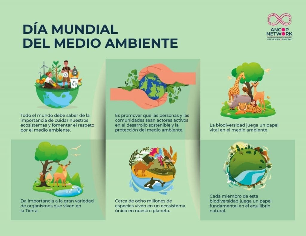 DIA MUNDIAL DEL MEDIO AMBIENTE