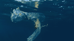 Diseno sin titulo 31