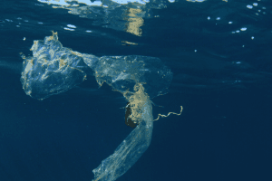 Diseno sin titulo 31