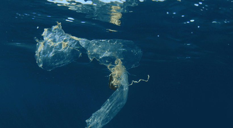 La lucha por el océano 10 Diseno sin titulo 31