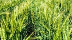 WhatsApp Image 2022 06 09 at 11.54.27 AM 1