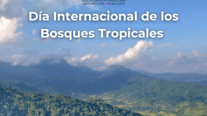 bosques tropicales