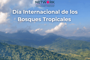 bosques tropicales