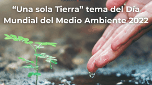 dia del medio ambiente