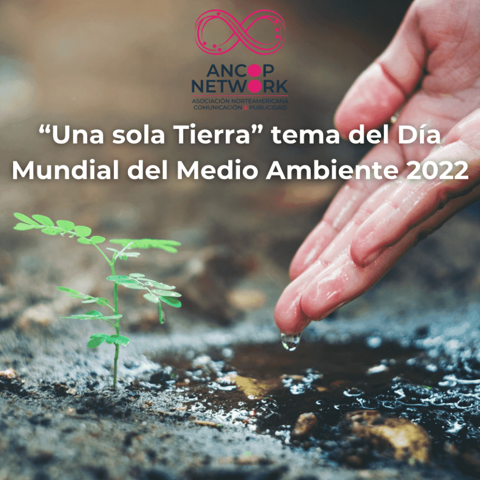 dia del medio ambiente