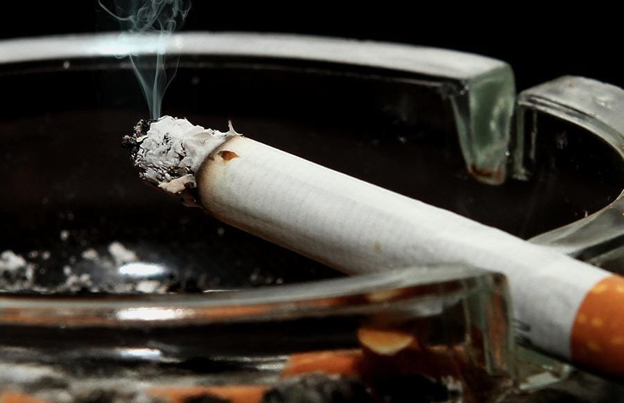 La industria del Tabaco daña el medio ambiente 11 efectos del tabaco en el medioambiente 382 orig