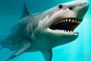 f.elconfidencial.com original 2ae 4f7 f23 2ae4f7f230132da956fd896981f9fc96