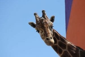 f1280x720 45585 177260 5050