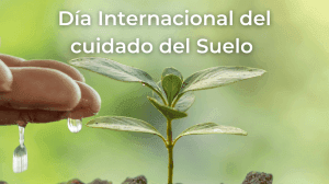 Dia Internacional del cuidado del Suelo