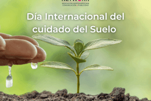 Dia Internacional del cuidado del Suelo