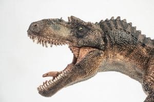 Gorgosaurus