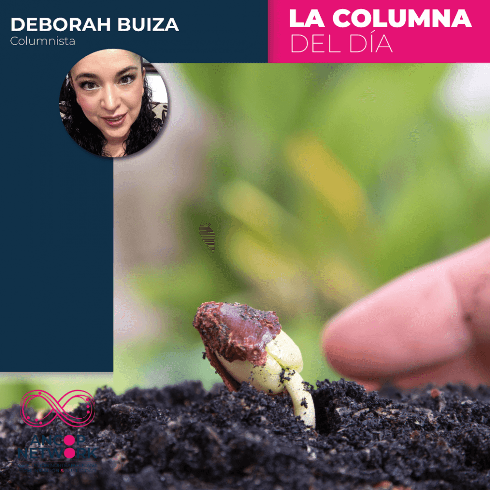 Semillas 10 SEMILLA DB