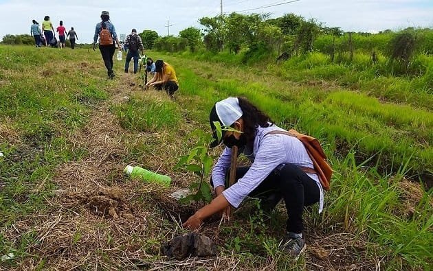 Invitan a plantar y cuidar árboles 10 reforestacion