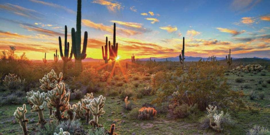 Cambio climático, una realidad en Sonora 10 sonora