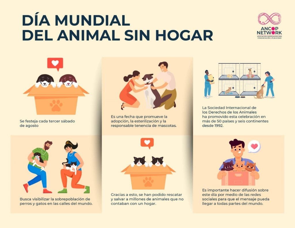DÍA MUNDIAL DEL ANIMAL SIN HOGAR