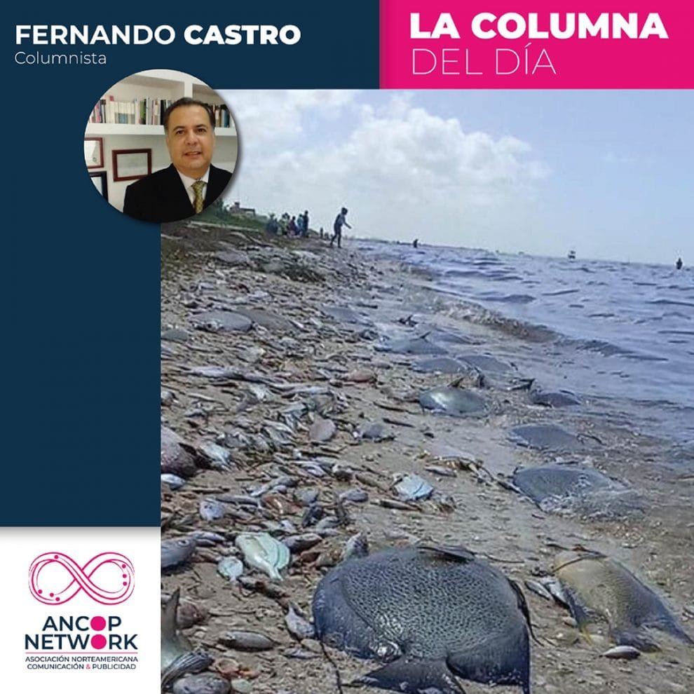 La Marea Roja en las costas de Yucatán 11 Fernando Castro