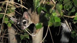 WhatsApp Image 2022 08 23 at 12.35.39 PM