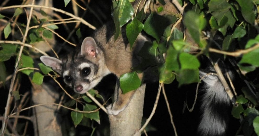 WhatsApp Image 2022 08 23 at 12.35.39 PM