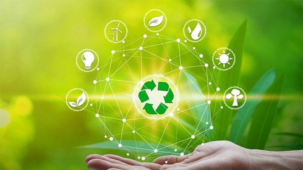 WhatsApp Image 2022 08 26 at 1.03.45 PM