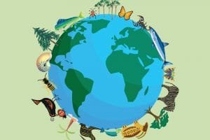 biodiversidad