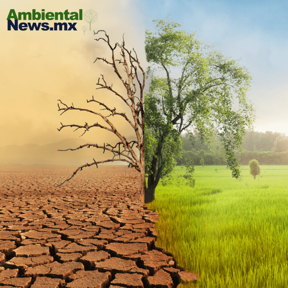 Acciones sobre el cambio climático y los derechos humanos: expertos 10 cc