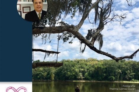 11ef415f 4c3e 468f a589 b13ce04e9b84