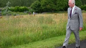 2UQRZPJFF65Y6KYDZAM5VIYYEM