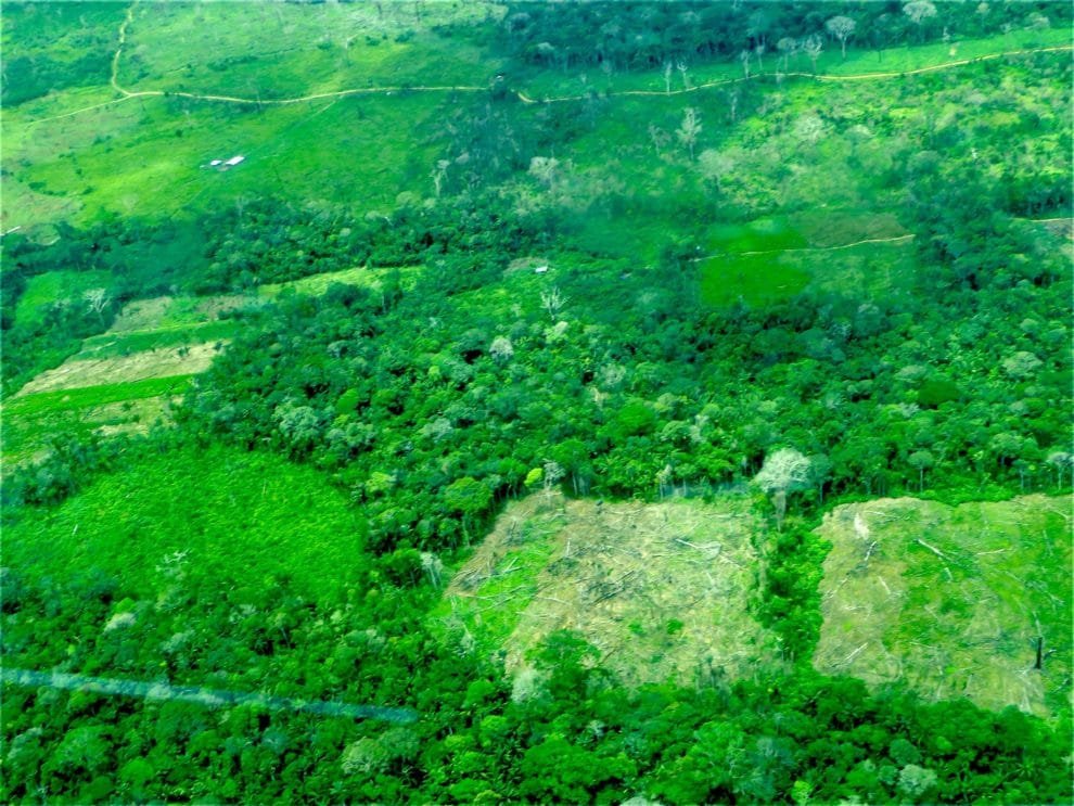 00 IMG 7730 scaled 1