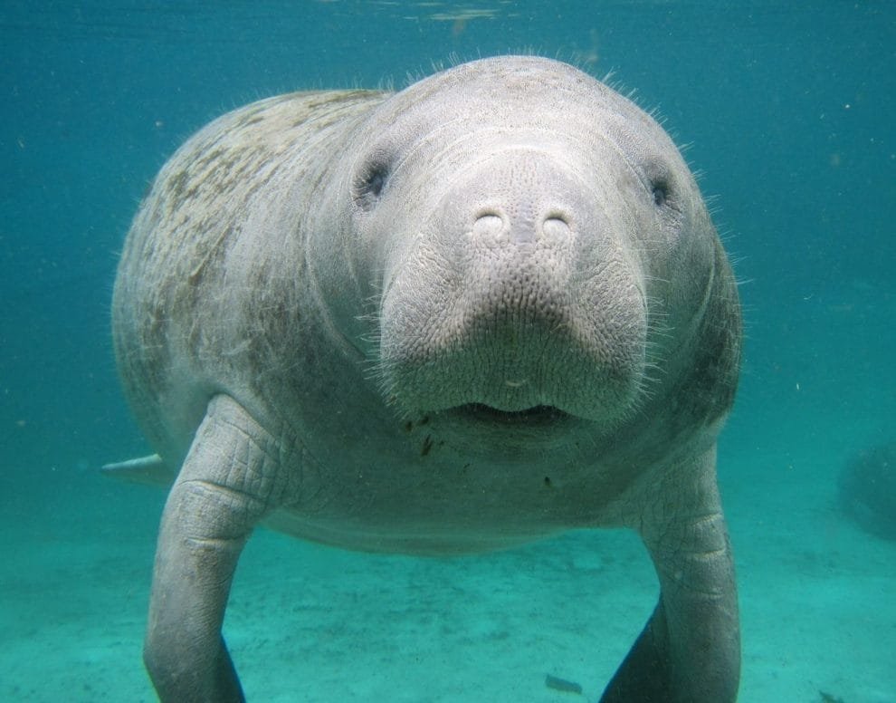 3edb0894d7aae11cdd9bdc4bd6eaabeb