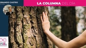 Columna Fernando Castro 2