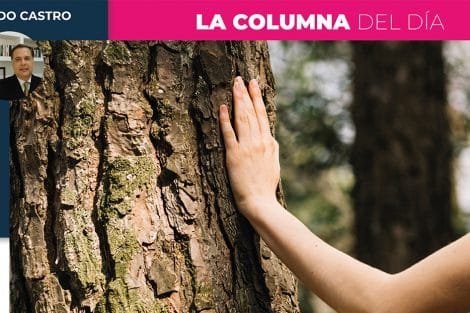 Columna Fernando Castro 2