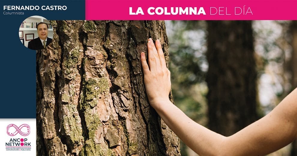 Columna Fernando Castro 2