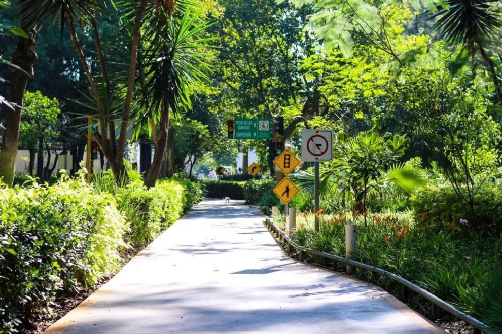 Apuesta Guanajuato por tecnología y medio ambiente 10 FdWuWIoXoAAwPFq