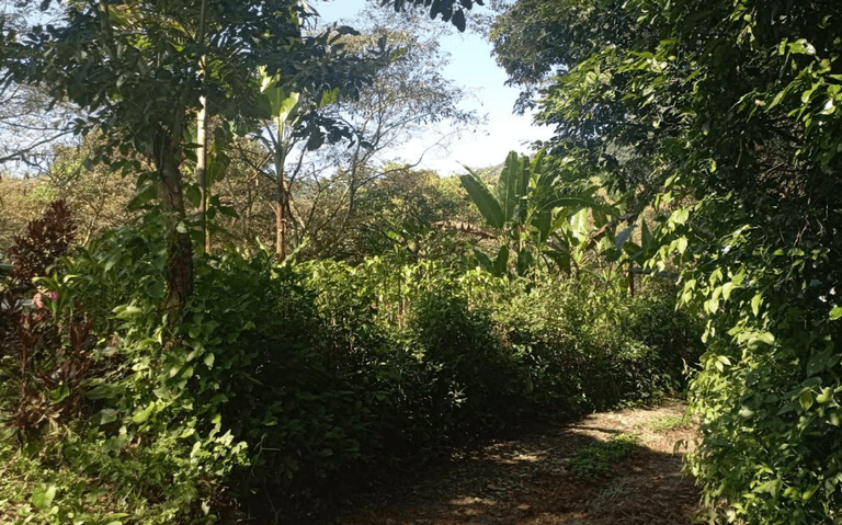 No debe de haber exclusión de interesados en temas ambientales: CIMA 10 Medio Ambiente