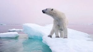 WhatsApp Image 2022 10 08 at 2.49.48 PM