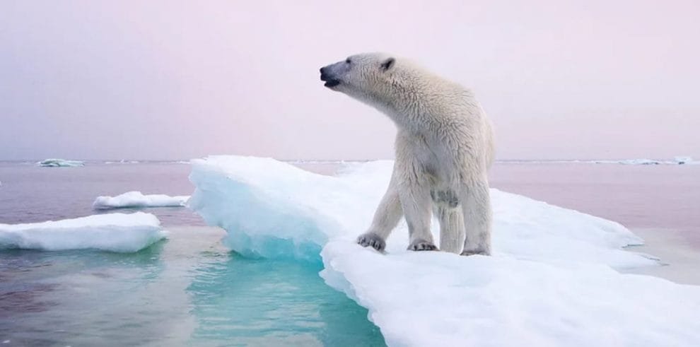 WhatsApp Image 2022 10 08 at 2.49.48 PM