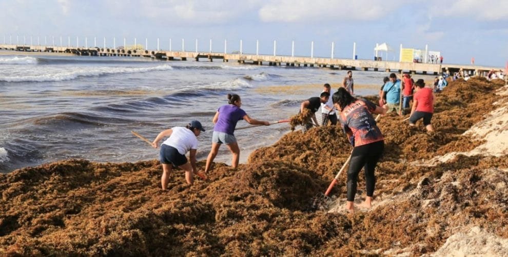 WhatsApp Image 2022 10 19 at 12.03.00 PM