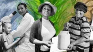 WhatsApp Image 2022 10 23 at 1.31.25 PM