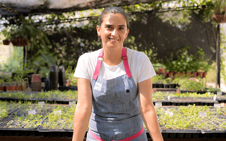 Con huertos sustentables urbanos en Michoacán pretenden apoyar la alimentación de los más desprotegidos 10 Ambiental News 1 1