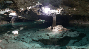 Ambiental News 1 2 e1669781223522