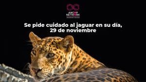 Nota Dia del Jaguar