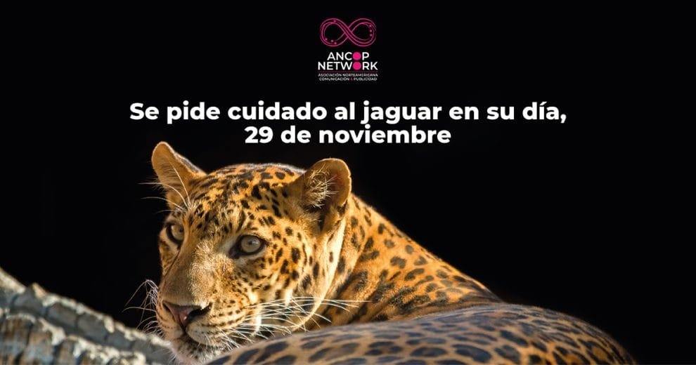 Nota Dia del Jaguar