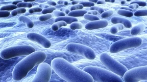 descontaminacion del agua con bacterias 2610 3 600