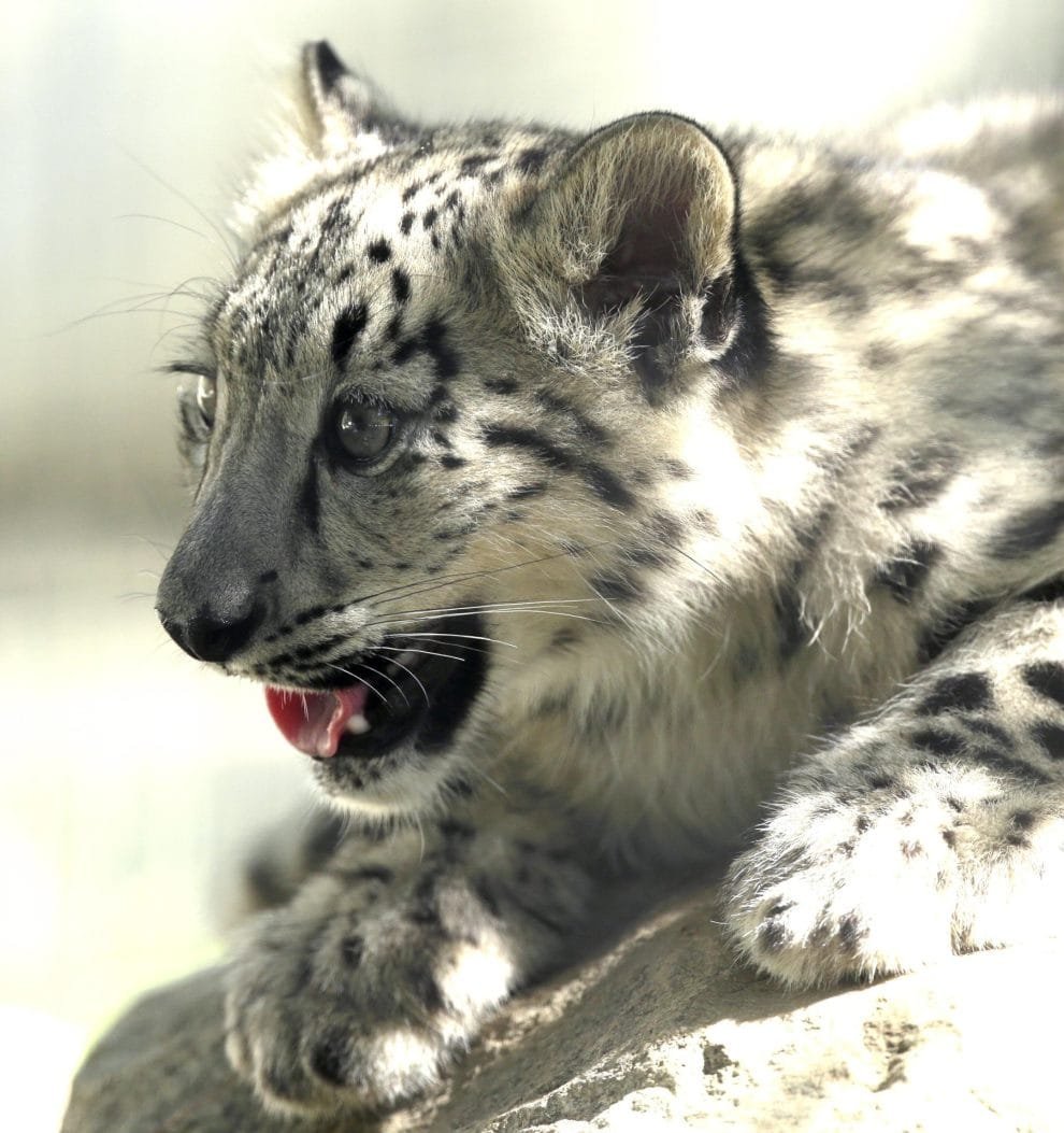 2d812d6b25c219a727df0ede68938187fa8d6e7ew