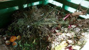 3844c9198ab22033d16bcd4c4ba40adcca706572w