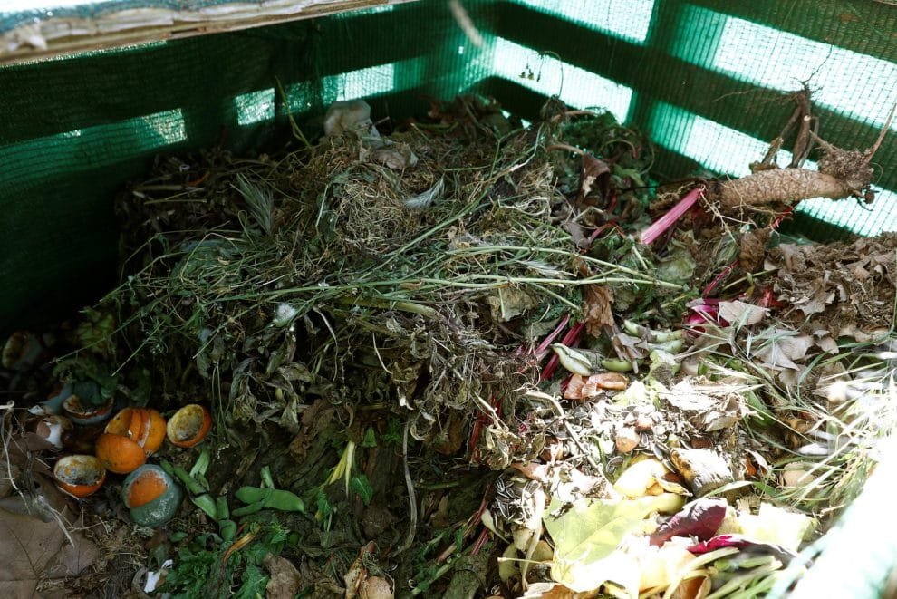 3844c9198ab22033d16bcd4c4ba40adcca706572w