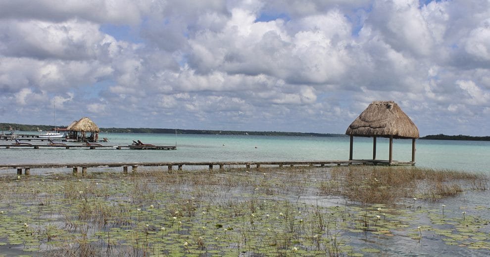 Bacalar