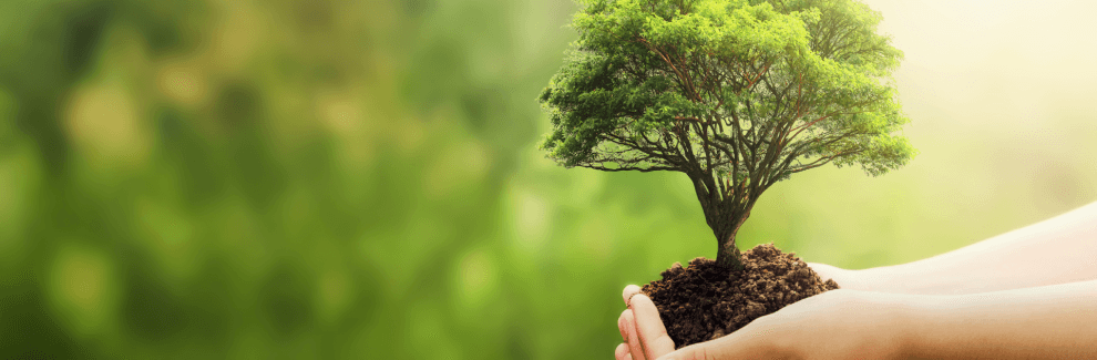 Sustentabilidad en Nestlé 10 Banners Planeta 01