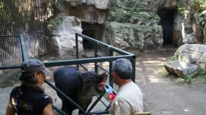 Capacitacionzo25122022